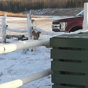 Meet your Posher, Carla